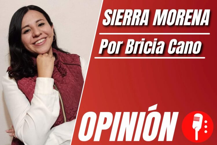 Opinión de Bricia Cano