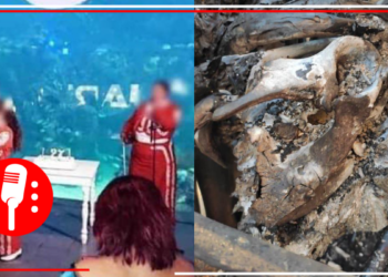 Procuraduría del Medio Ambiente de Veracruz toma control de Aquarium del Puerto; administración privada ocultó información sobre la muerte de un Manatí