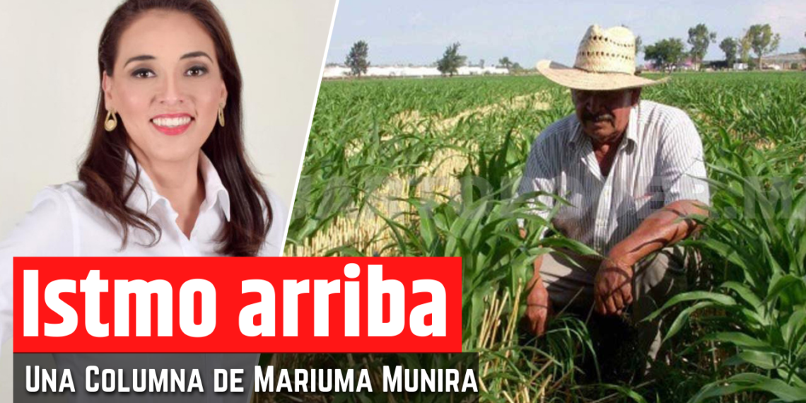 Opinión de Mariuma Munira