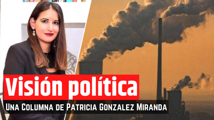 Opinión de la Mtra. Patricia González Miranda