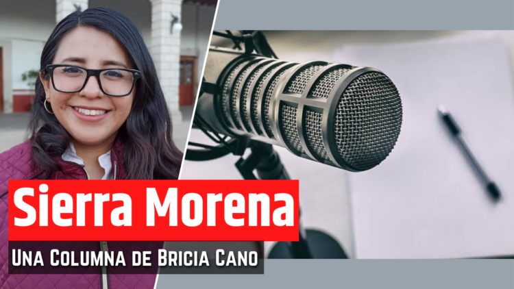 Opinión de Bricia Cano
