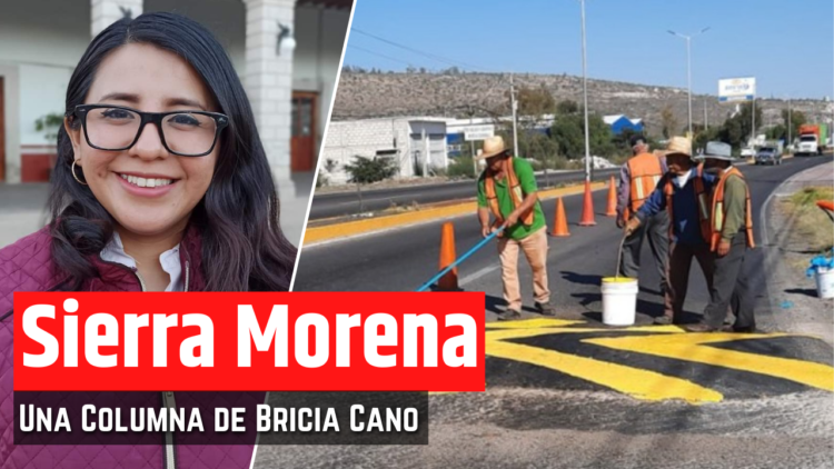 Opinión de Bricia Cano
