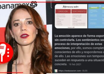 Laisha Wilkins, férrea opositora a la 4T, es descubierta plagiando en su más reciente columna