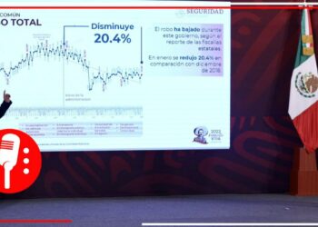 Disminuye 33.3% incidencia de delitos del fuero federal y 16% homicidios dolosos respecto a 2018: Rosa Icela