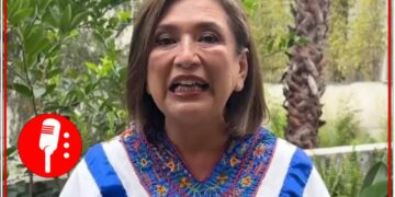 Sale a la luz la información de las empresas de Xóchitl Gálvez, han recibido contratos millonarios en los últimos 23 años