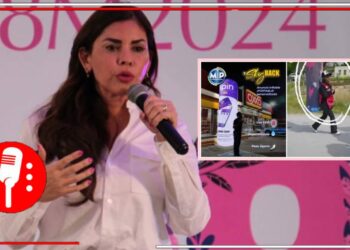 Candidata pirata se roba patentes: La panista Karina Barrón es acusada de clonar productos legalmente registrados y sin autorización los utiliza para su candidatura al Senado de la República