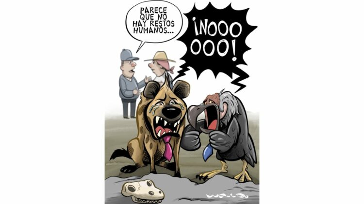 Waldo Matus