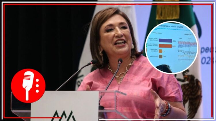 Xóchitl Gálvez. Foto Cuartoscuro | Encuesta. Imagen: Enrique Hernández/X