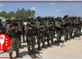 Elementos del Ejército Mexicano. Foto: @MarioPhoenix24/X