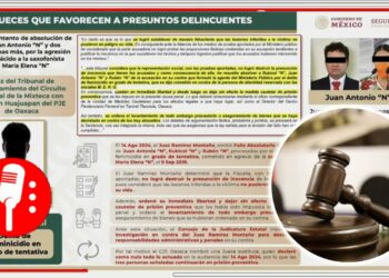 Cero Impunidad: Luis Rodríguez Bucio expone por qué hace falta una Reforma al Poder Judicial, luego de que jueces cambiaron las medidas cautelares de Juan Antonio Vera y Mario Marín