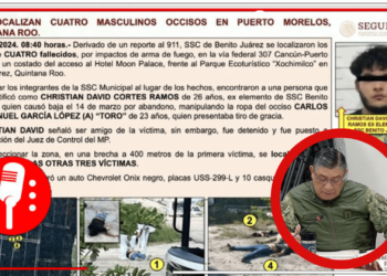 La 4T trabaja por un México más seguro: SEDENA desmantela células delictivas en Chiapas y coordina esfuerzos de seguridad en Quintana Roo