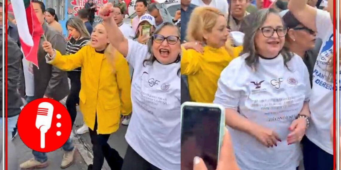 Norma Piña marcha contra la reforma al Poder Judicial. Captura de video/@FranciscoBurgoa.