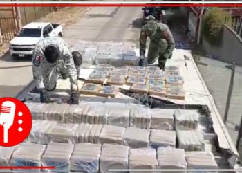Estrategia Nacional de Seguridad logra la incautación de 300 kilos de cocaína en el estado de Guanajuato