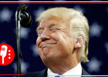 Agricultores de Estados Unidos temen nuevo golpe económico tras aranceles de Trump: “Ya estábamos perdiendo”