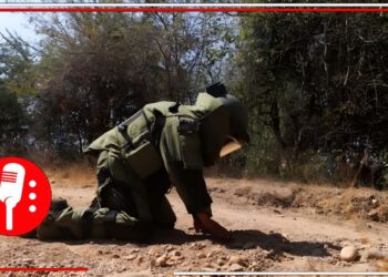 Defensa Nacional desactiva 18 minas del CJNG en Michoacán