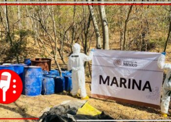 Cae laboratorio clandestino en Sinaloa; golpe de 81 mdp