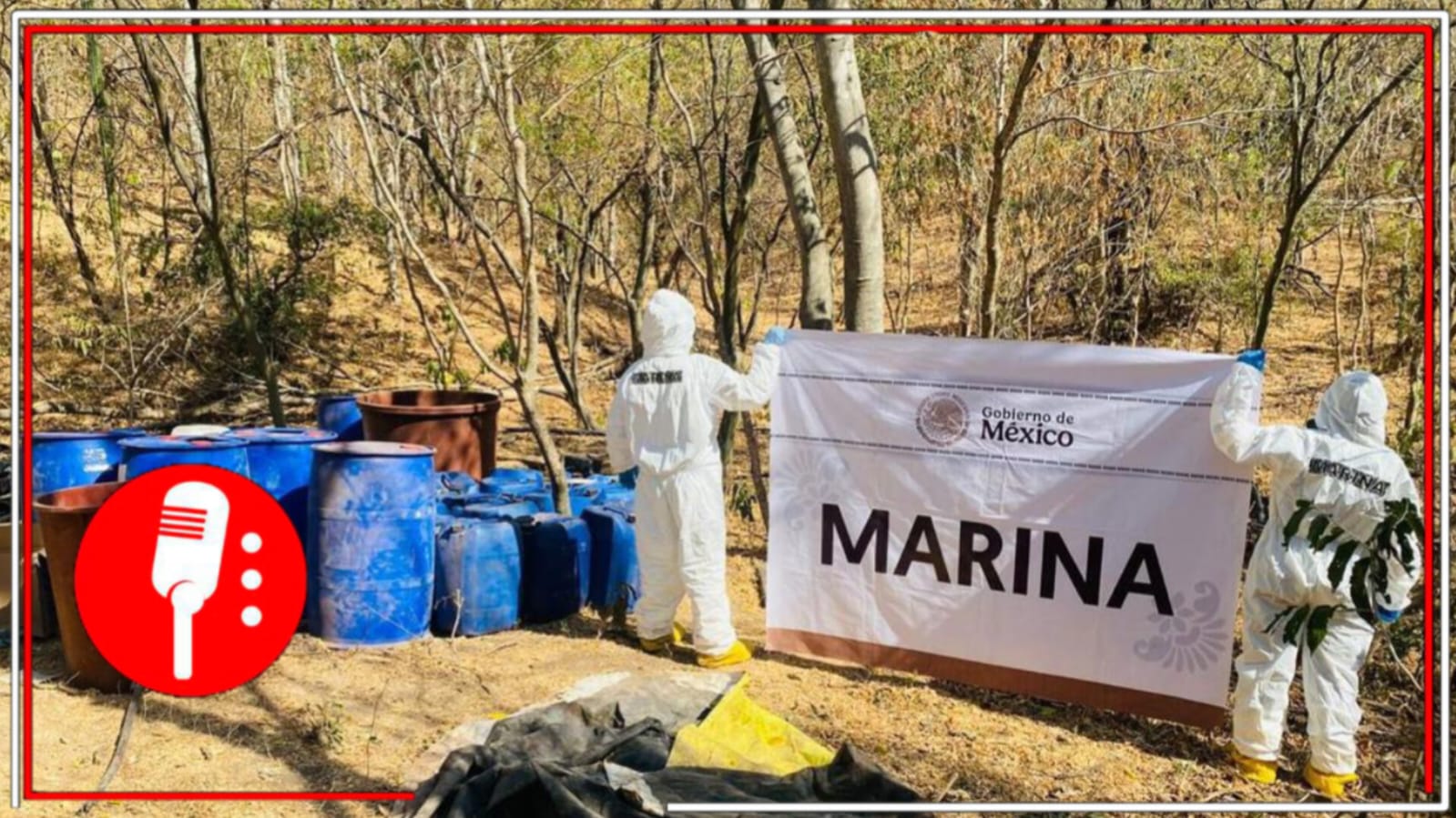 Cae laboratorio clandestino en Sinaloa; golpe de 81 mdp 