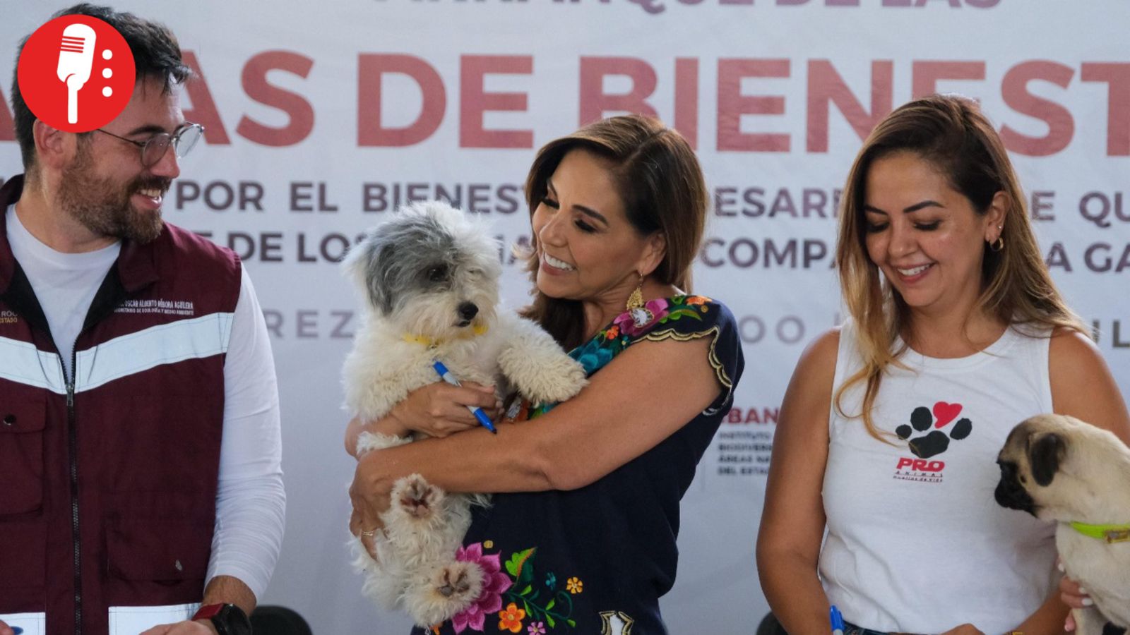Más de 250 esterilizaciones animales en Playa del Carmen