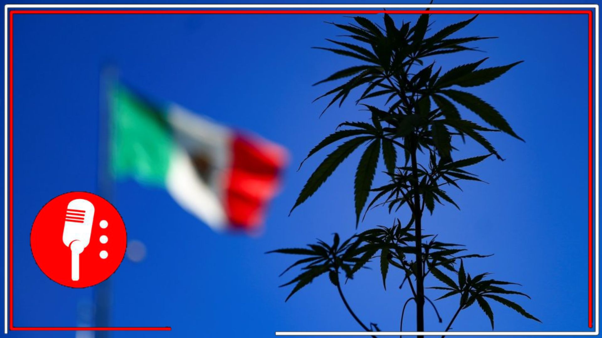 Estados Unidos presiona a México contra cárteles, pero legaliza drogas en su territorio
