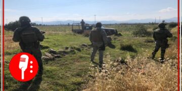 Combate a la violencia en México; Fuerzas Federales