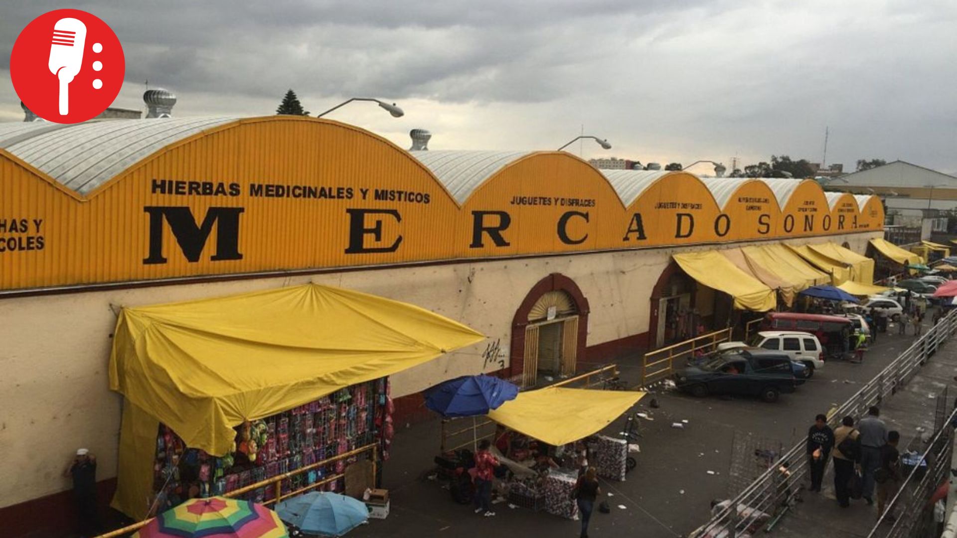 Prohibida la venta de animales vivos en el Mercado Sonora